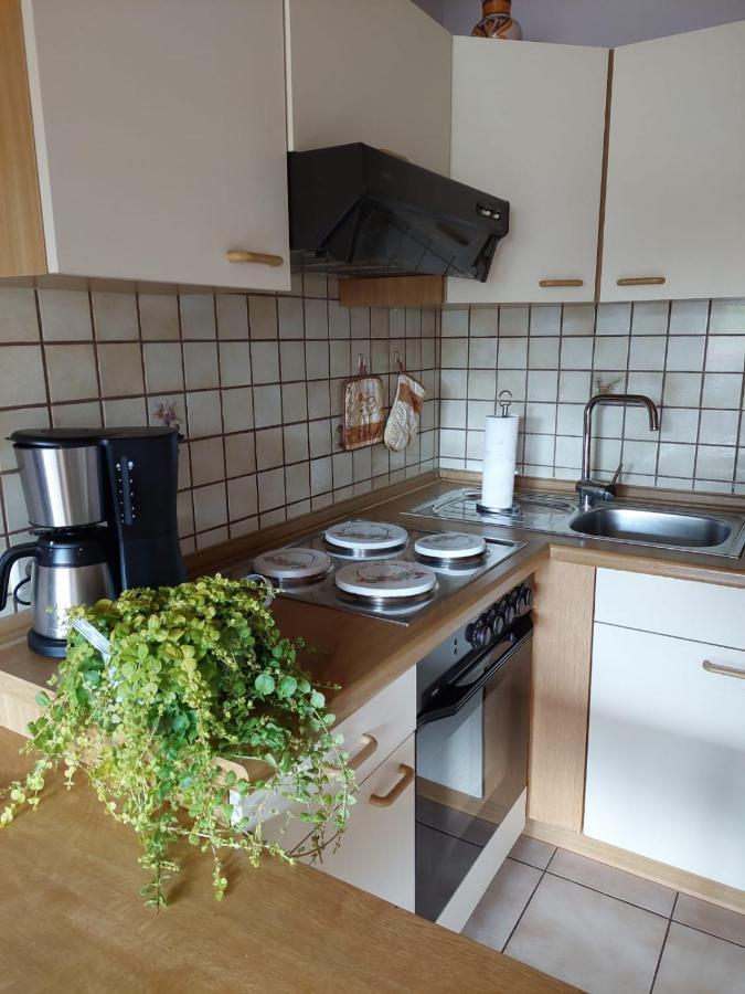 Ferienwohnung Meissner Бад-Родах Екстер'єр фото